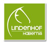 Reiten auf dem Lindenhof Habernis